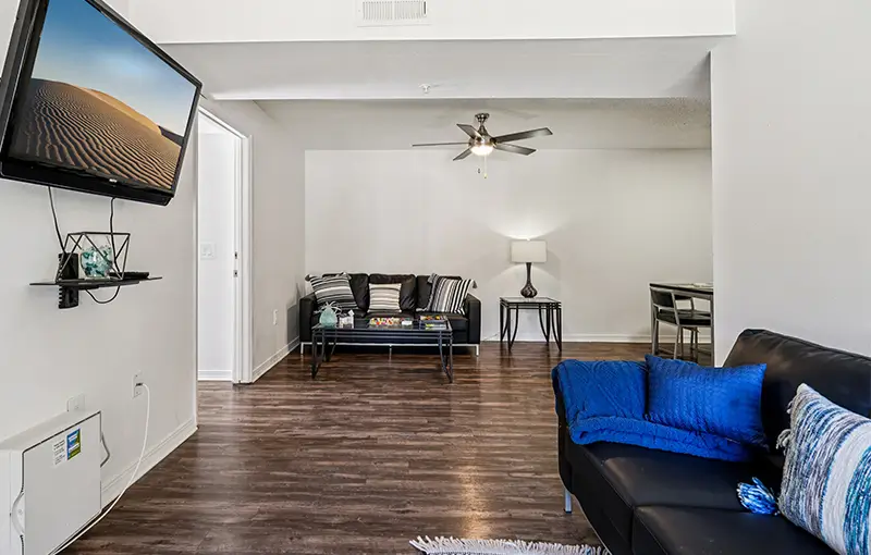 Furnished living room