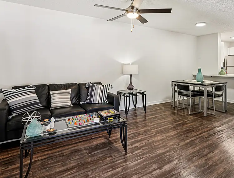 Furnished living room