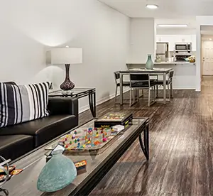 Furnished living room